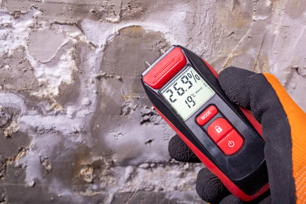 Best Professional Mold Removal  in Valley Green, PA
